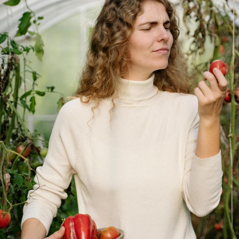 الهرم الجديد يهزّ عرش الهرم الغذائي التقليدي.. إليكِ التفاصيل