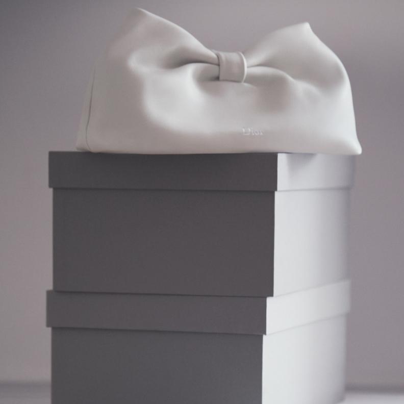 حقيبة Dior Bow 