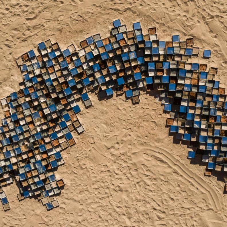 Desert X العلا 2026 ينطلق بعنوان "سديم لا يعد" تحت إشراف وجدان رضا وزوي ويتلي