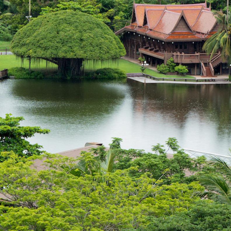 RXV Wellness Village