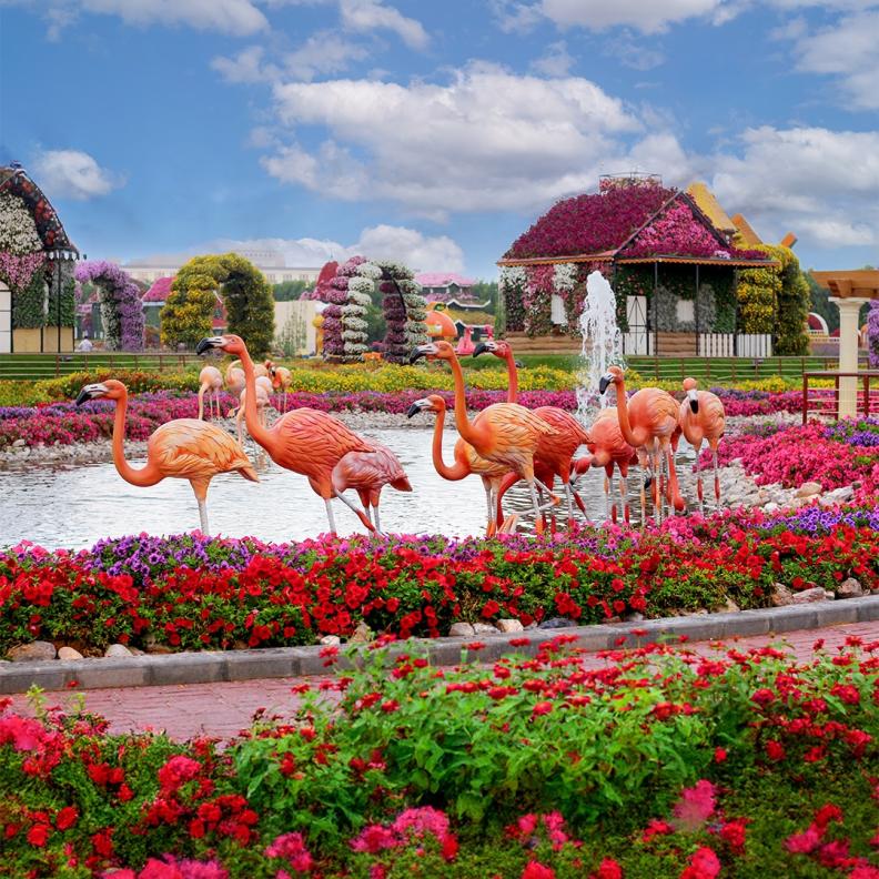 دليلك لتجربة ممتعة في دبي ميراكل جاردن… رحلة بين الزهور حيث تتحوّل الطبيعة إلى فن