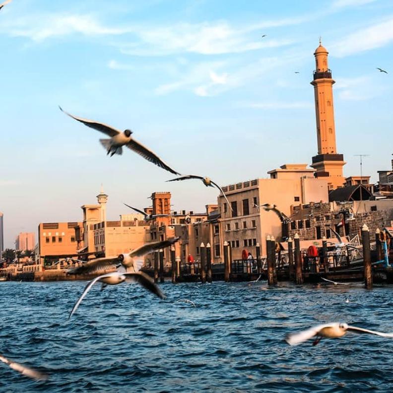 رحلة بين الماضي والحاضر في دبي.. دليلك لزيارة أفضل 10 وجهة تراثية في دبي