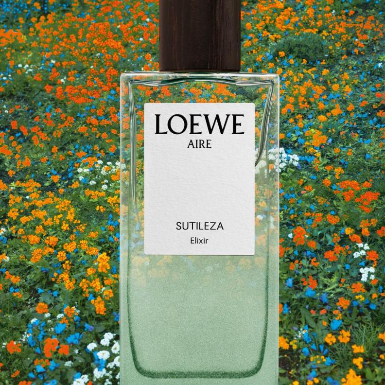 عطر  Aire Sutileza