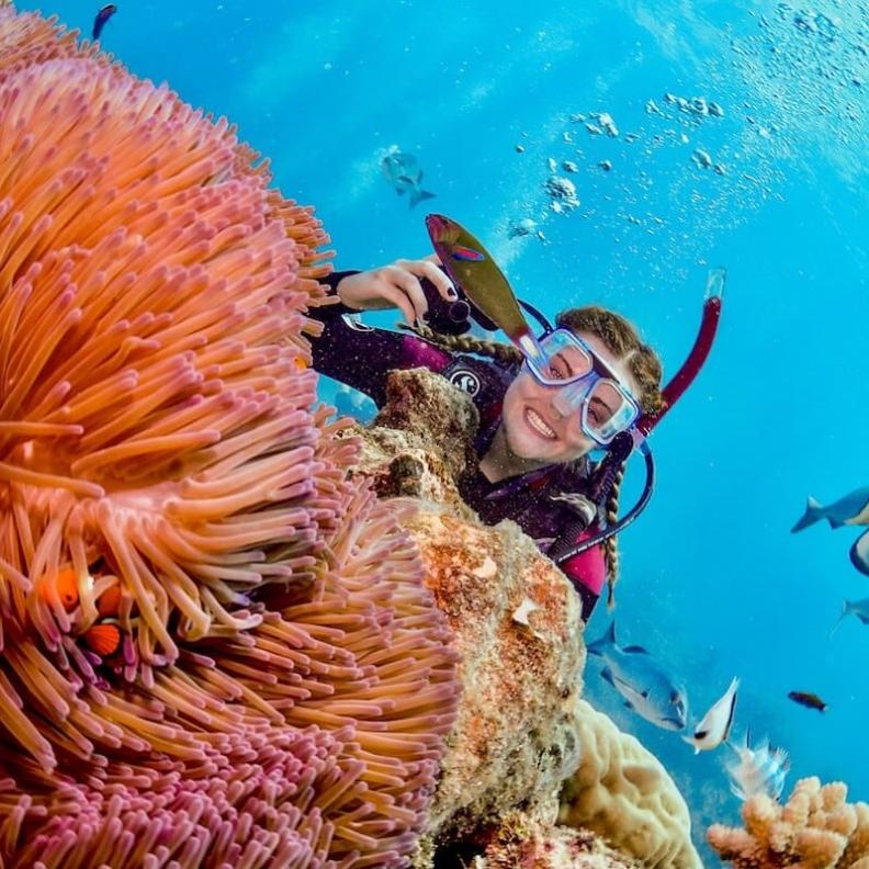 الحيد المرجاني العظيم Great Barrier Reef، أستراليا
