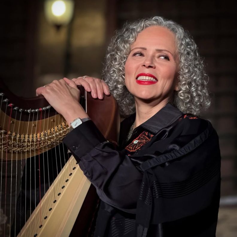 عازفة الهارب منال محيى الدين