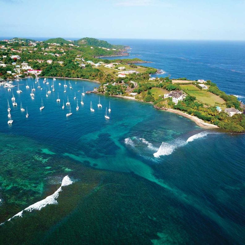 جزر توباغو كايز، سانت فنسنت وجزر غرينادين Tobago Cays, St. Vincent & the Grenadines (2) (1)