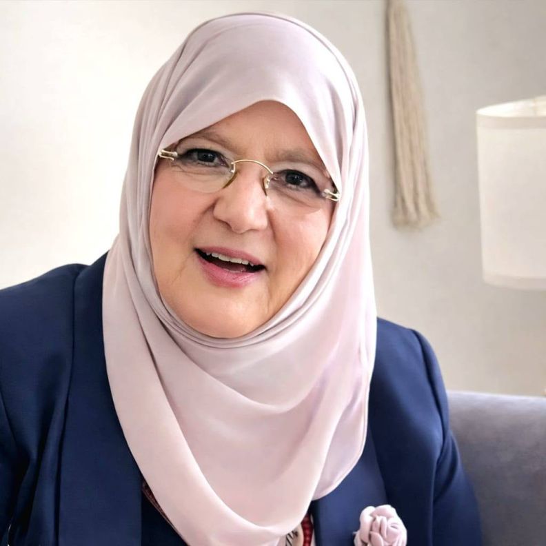شمس البارودي 