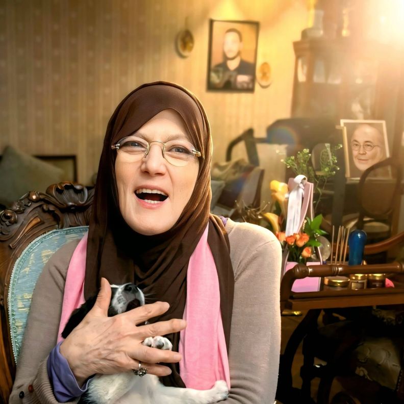 شمس البارودي 