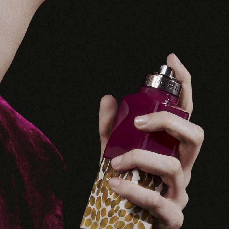  عطر Velvet Violet من Dries Van Noten