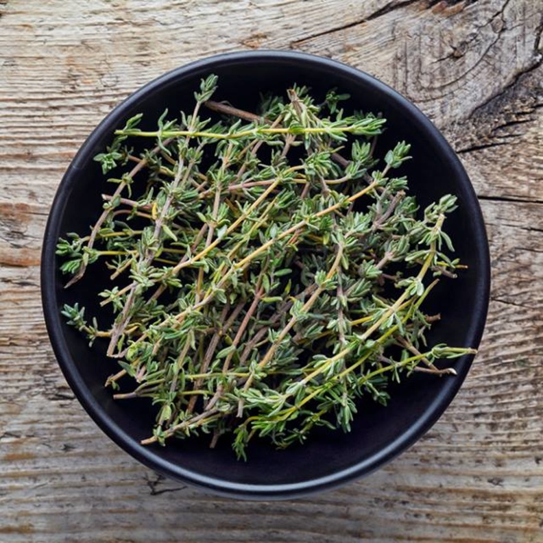 الزعتر يعزز مناعة الجسم ضد الأمراض