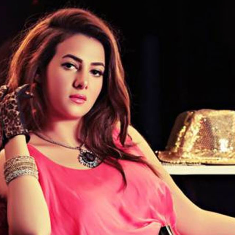 دنيا سمير غانم 