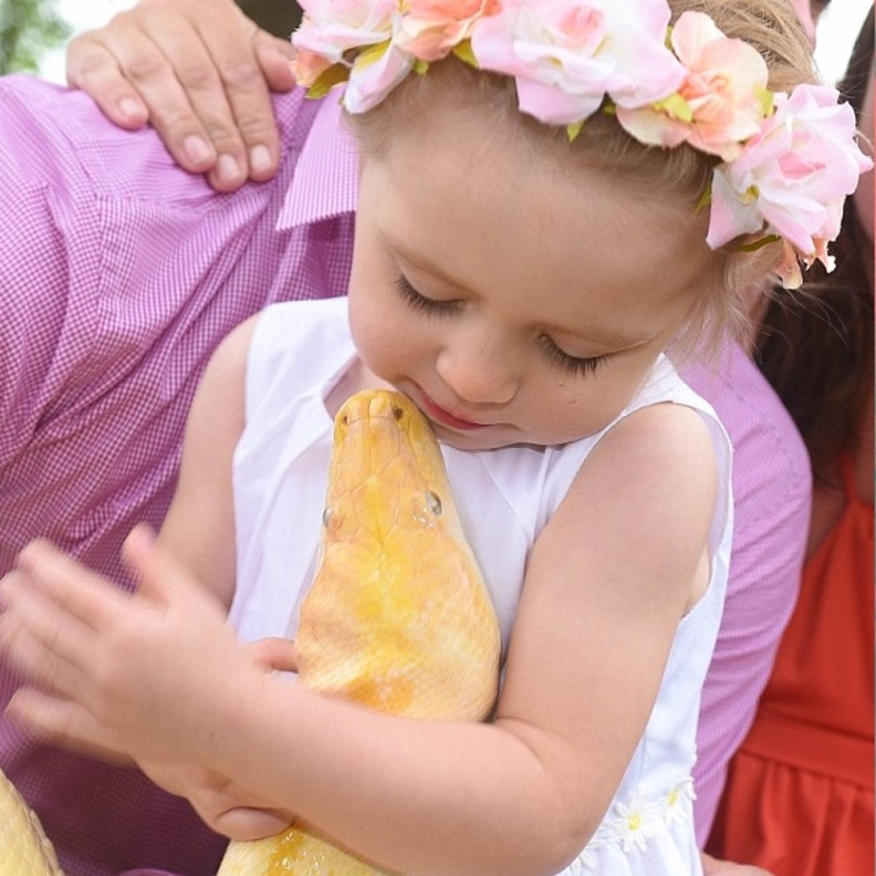 قبلة للثعبان