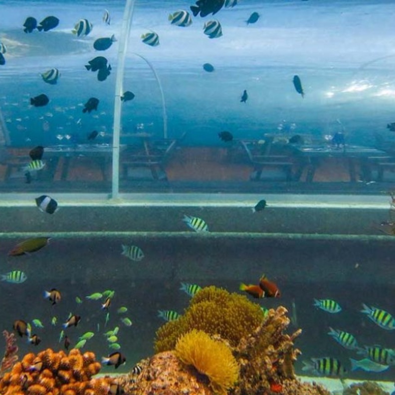 جزيرة "هورووالي"