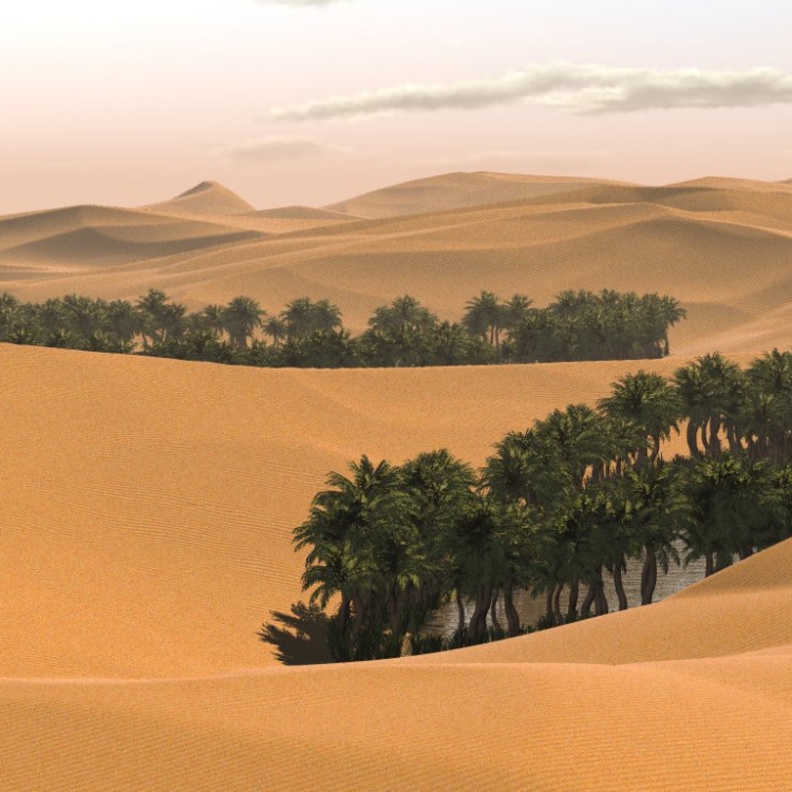 صحراء النفود السعودية 