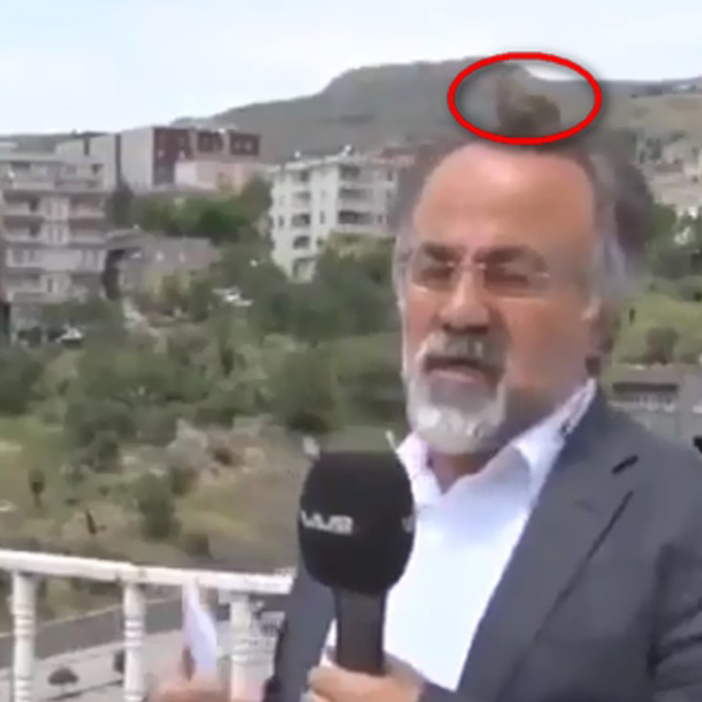 عصفور يستقر فوق رأس مذيع على الهواء