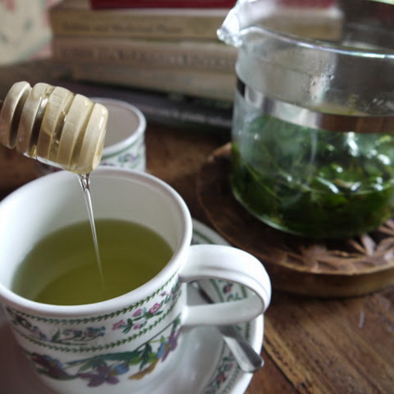 شراب اللبلاب فعال في علاج السعال المزعج