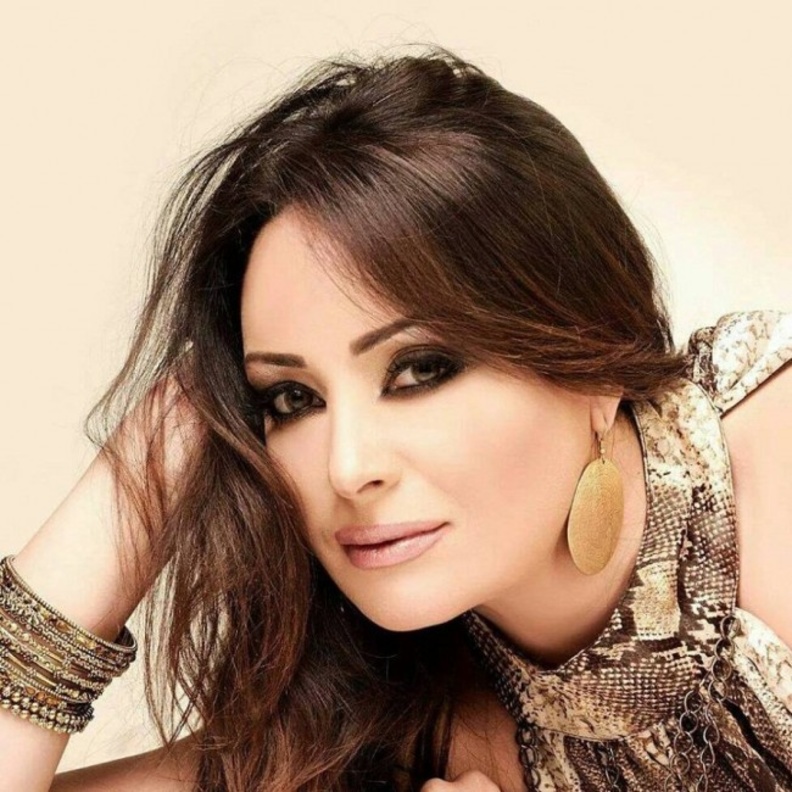 نيرمين الفقي