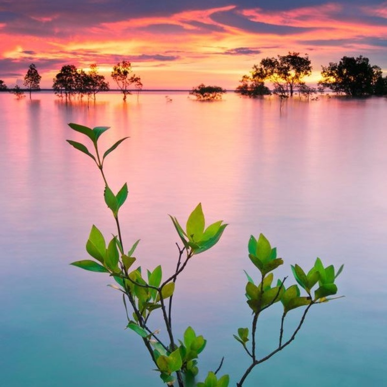 داروين.. درة الجنوب الأسترالي