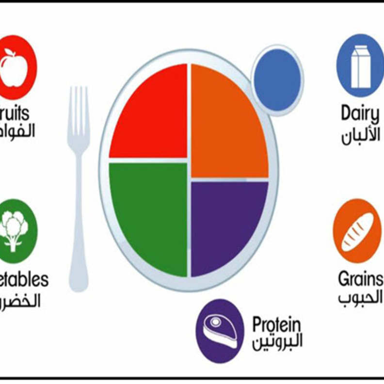 الطبق الصحي الجديد وتقسيم الاغذية فيه