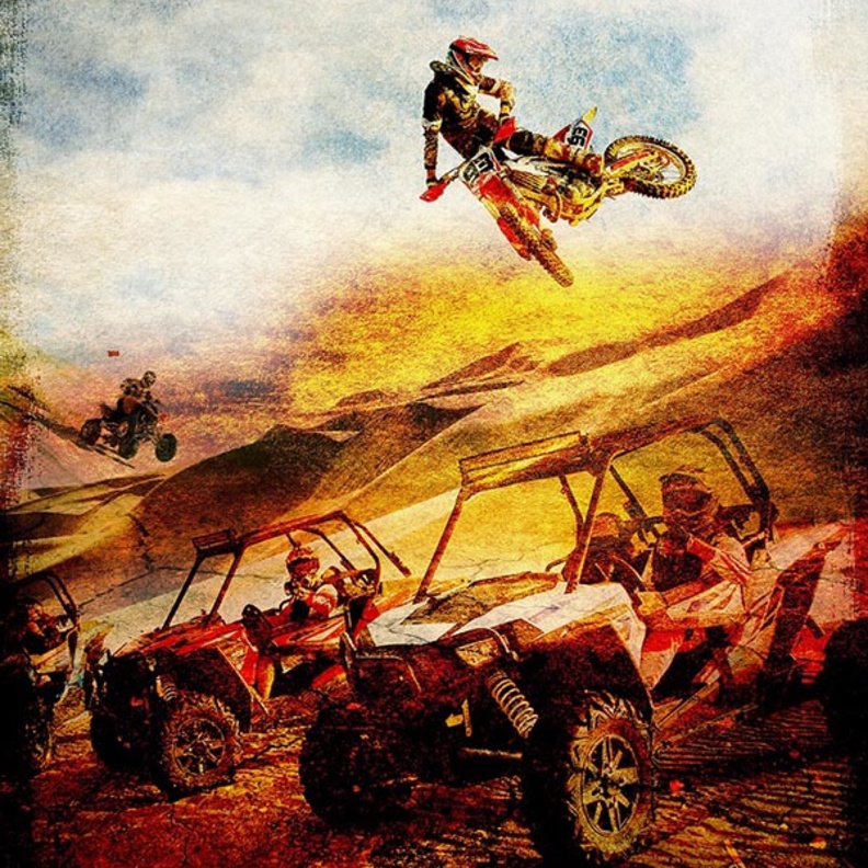 نظرة على مهرجان الرياضة الصحراوية الأول في إمارة الشارقة