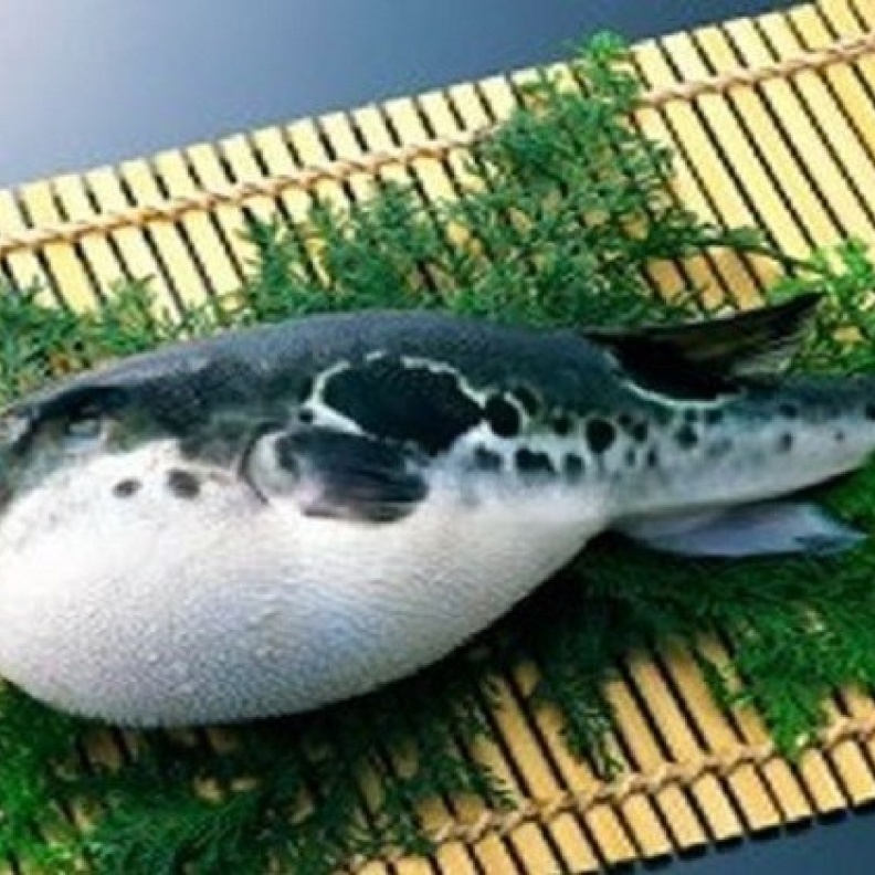 وجبة عشاء تشل عائلة برازيلية