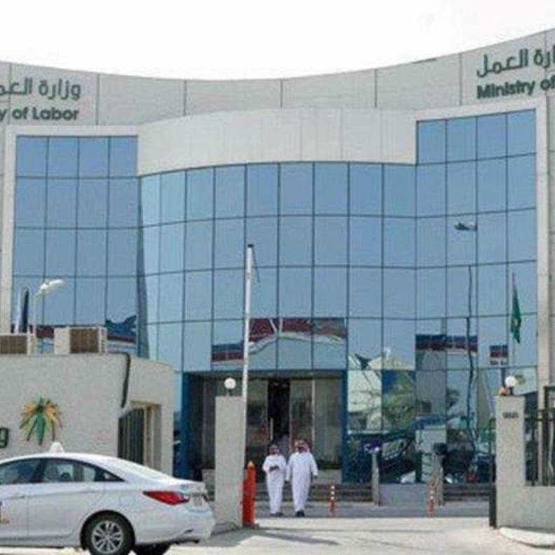 المبادرة الجديدة نالت إستحسان العديد من السعوديات 