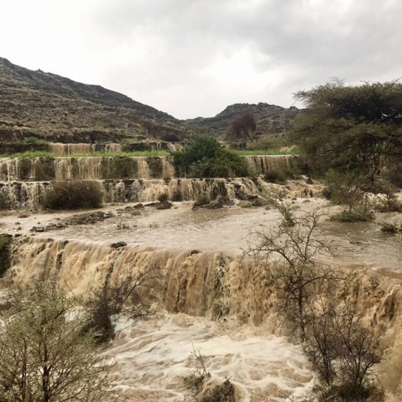 المدرجات الزراعية بالسعودية بعد هطول الأمطار