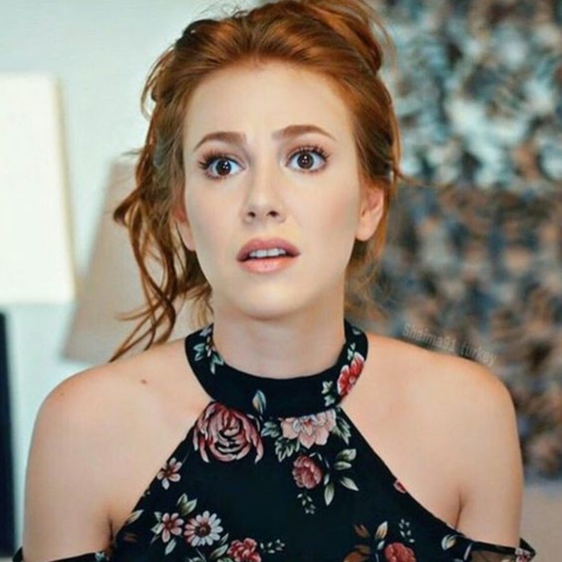 الشين سانجو