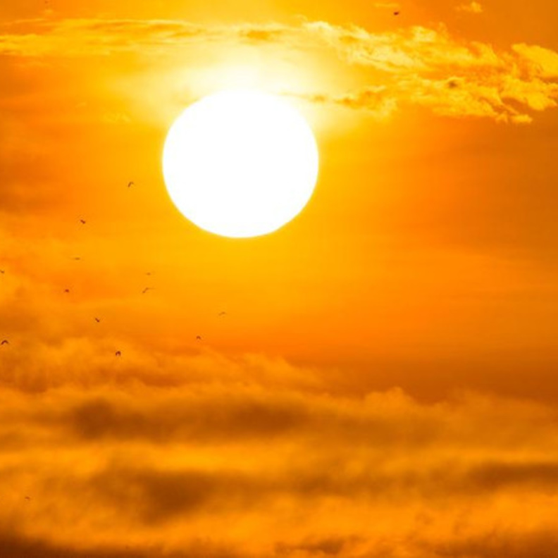 الأرصاد توقعت استمرار نشاط الرياح السطحية المثيرة للأتربة والغبار