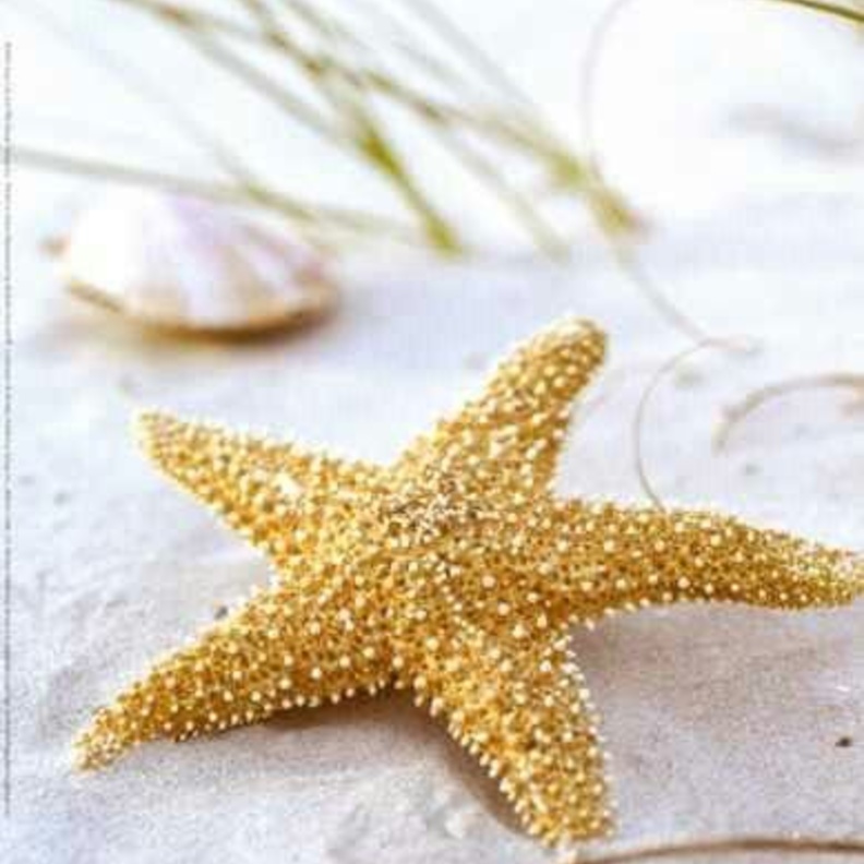 جزر كايمان.. مقصد الأثرياء والمشاهير