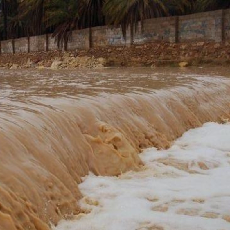 رواد موقع التواصل انتقدوا تصرف الشاب 