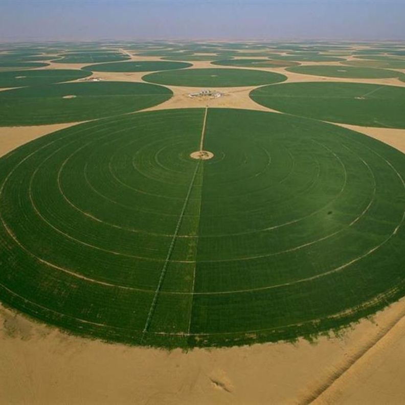 الوظائف المعلن عنها تشمل العديد من الوظائف للأطباء البيطريين 