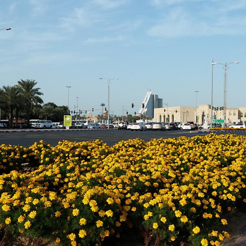 دبي... مدينة الزهور والمساحات الخضراء