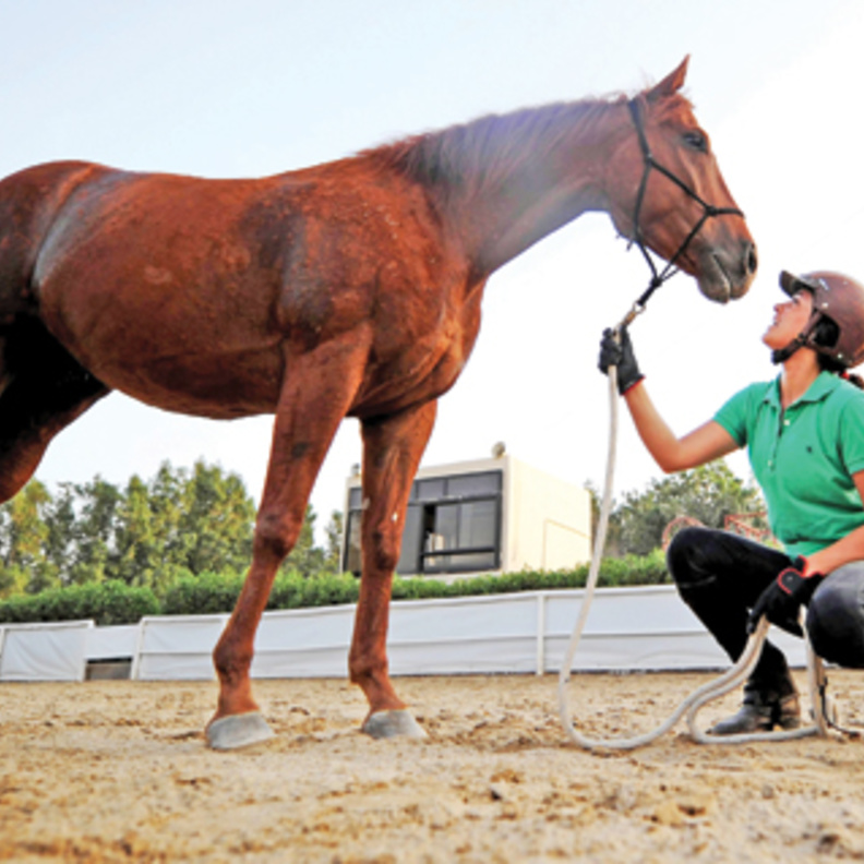 دانا القصيبي