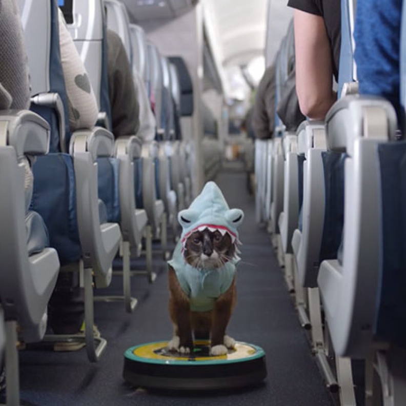 فيديو برموز الإنترنت لشرح السلامة على متن طائرات الدلتا