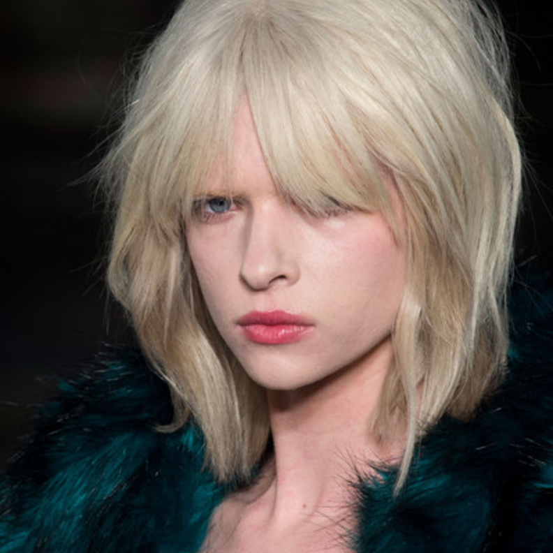 Felder Felder Fall 2015