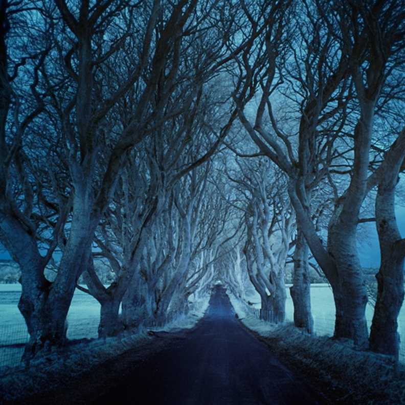 مسلسل  Downton Abbey – منزل إيرل جرانثام