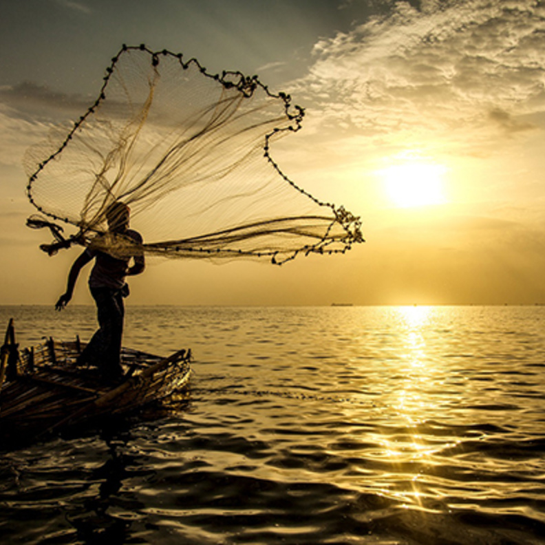 "فالك طيب" .. مبادرة ثقافية تراثية تعمق الهوية الاماراتية 