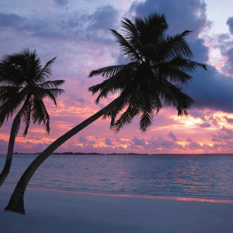 رحلة العمر: جزر المالديف جنة الأرض