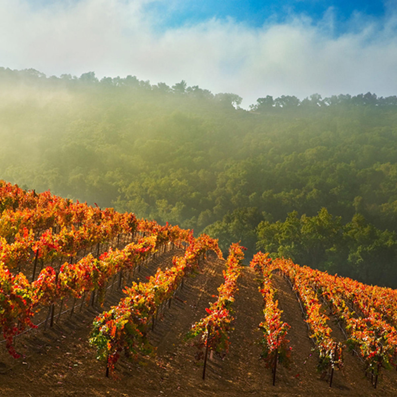 لوار فالي Loire Valley، فرنسا