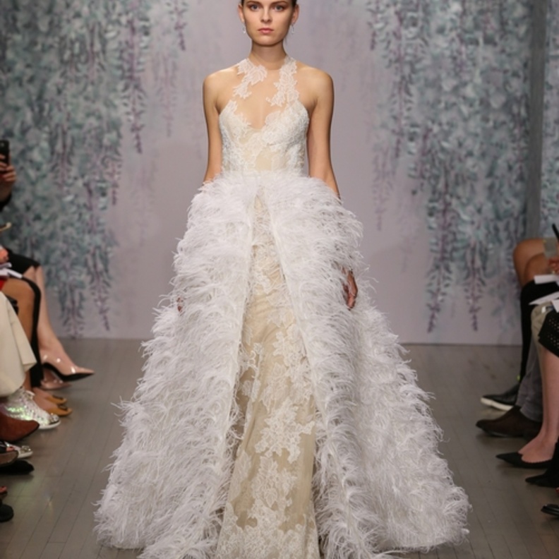 جمبسوت وتنورة كشكش فوقه