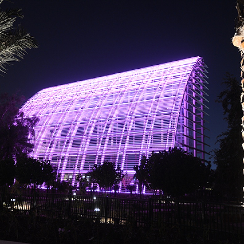 حديقة المشرف المركزية .. درة حدائق أبوظبي