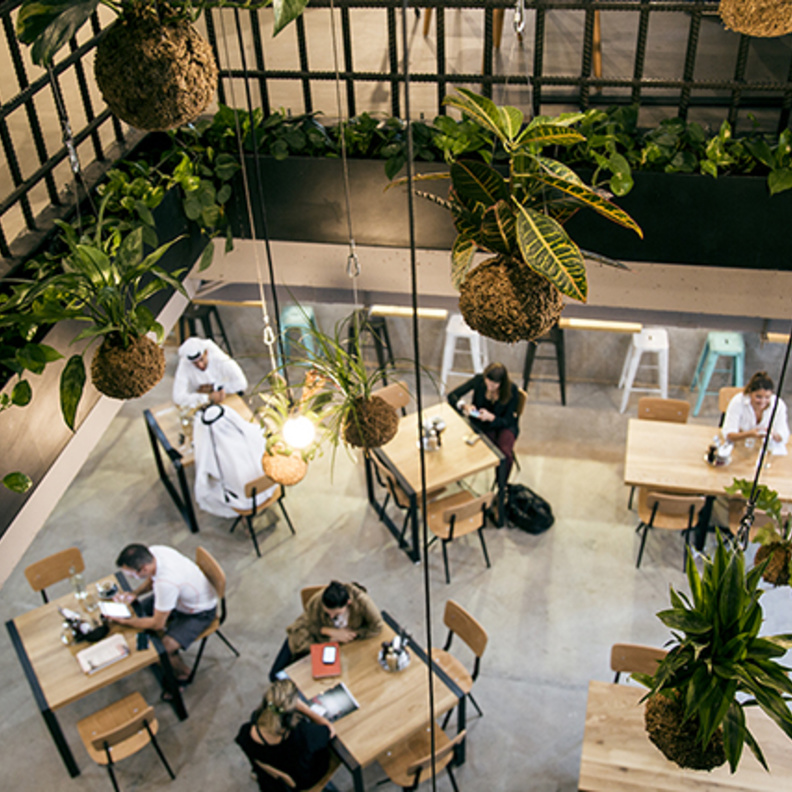 ذا سوم أوف أس