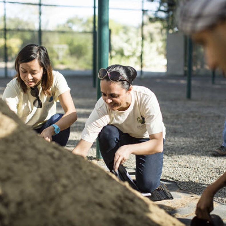 الريتز-كارلتون يساعد على الحفاظ على شجرة الغاف 