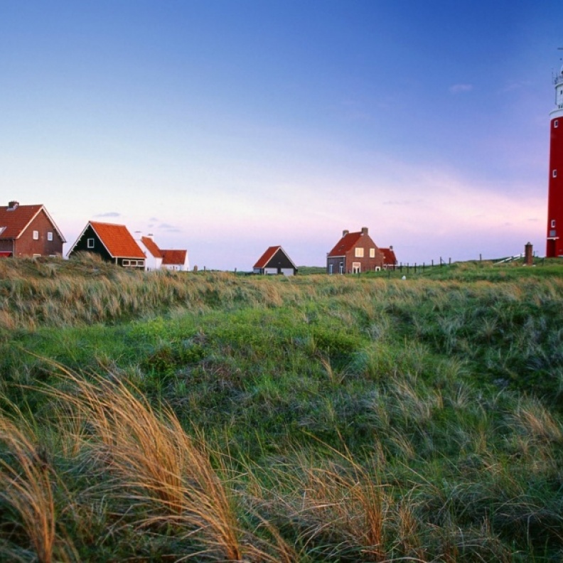 Texel
