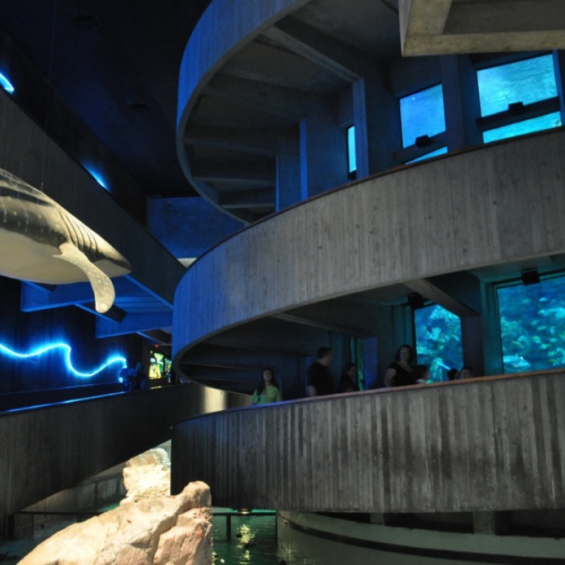The New England Aquarium