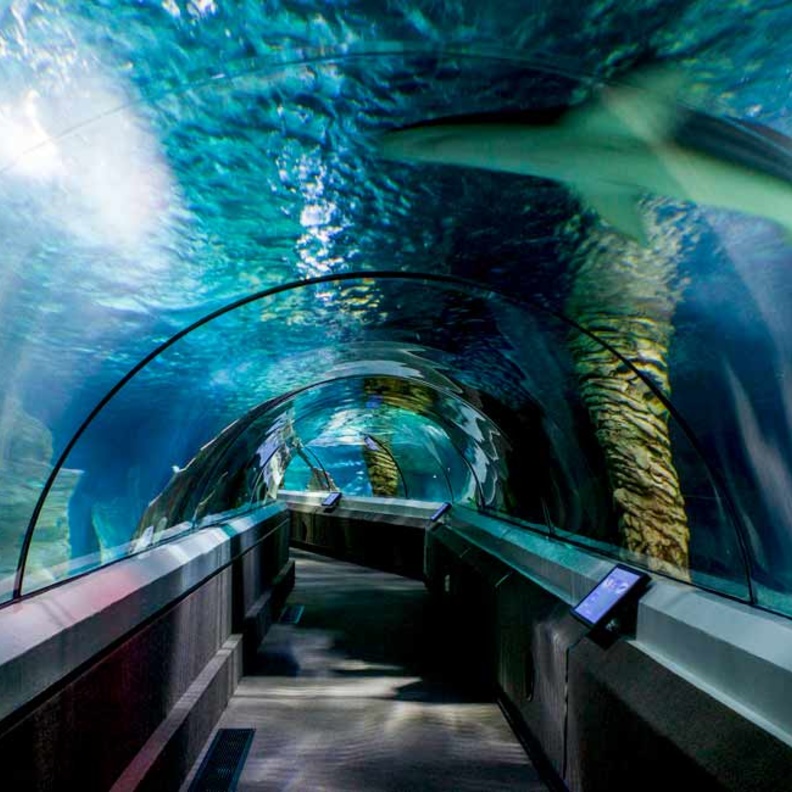 Underwater World