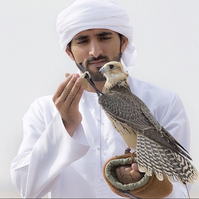 أحدث صورة نشرها الشيخ حمدان بن محمد بن راشد آل مكتوم ولي عهد دبي على صفحته الرسمية عبر انستغرام