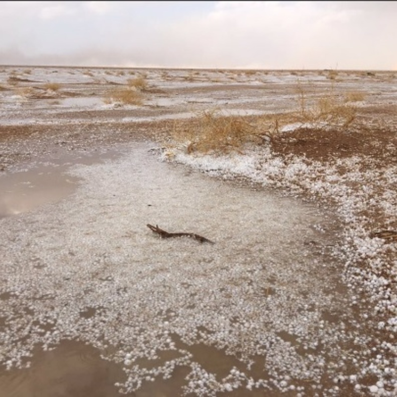 الطقس البارد يستمر حتى نهاية شهر فبراير