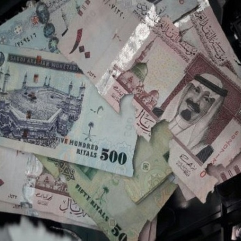 الفأر المشاغب ألتهم العديد من الأوراق النقدية 